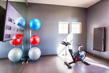 Small yoga studio with single stationary bike and exercise balls facing large TV and mirror